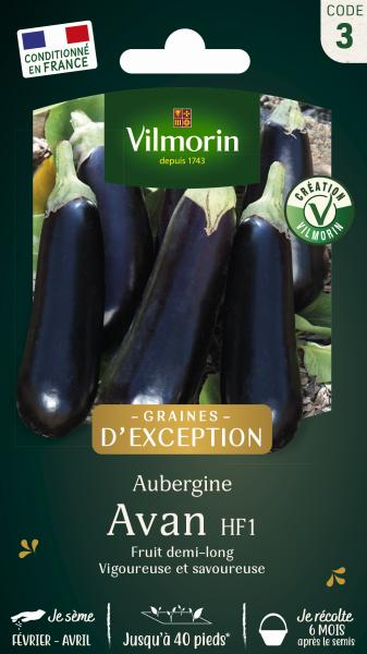 Potagères - Aubergine Avan HF1 - Graines d'Exception - face recto